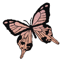 bemmimosa pink butterfly handmade rosa Sticker