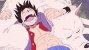 one piece i still dont remember why i have th GIF