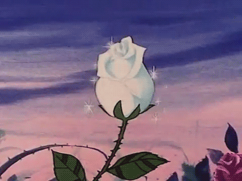 fondnuitanime giffleursakura gif Pelageya fond  nuit  anime  gif   fleur  sakura  pelageya  Free animated GIF  PicMix