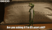 Lizard GIF by GEICO