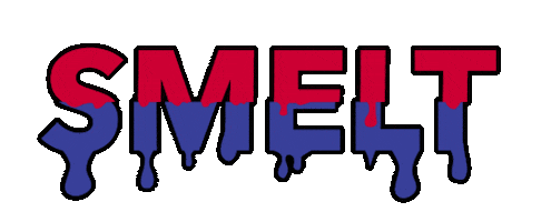 Twenteheeren Sticker by Party Mark