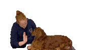 Jkbalance highfive dachshund hond teckel Sticker