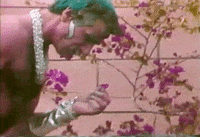 hippie GIF