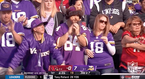 Minnesota Vikings Football GIF by NFL