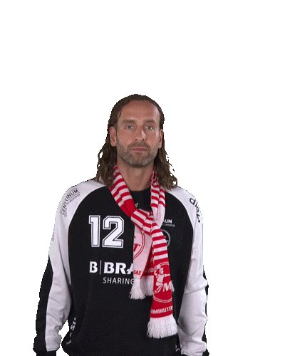 Handball-Bundesliga Fan Sticker by LIQUI MOLY HBL