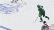 hockey goal GIF by ONE World Sports
