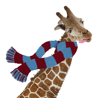 Party Animals Winter Sticker by Chris Timmons