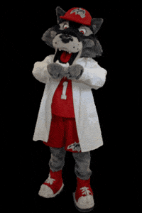 Stony Brook GIF by Stony Brook University
