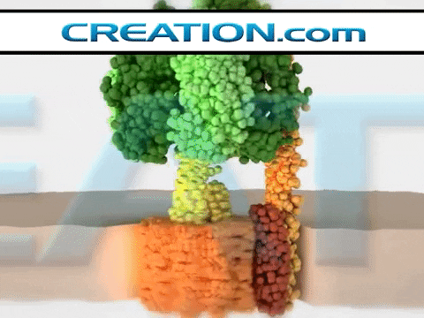 massahtennehbassie giphygifmaker atp atp synthase GIF