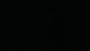 Outer Wilds Mobius GIF by Annapurna Interactive