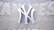 New York Sport GIF by YES Network