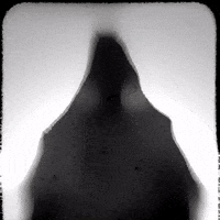 Halloween Monsters GIF by PBS Digital Studios