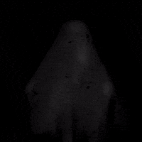 Halloween Haunting GIF by PBS Digital Studios