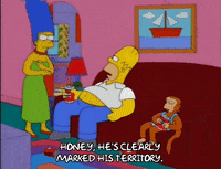 homer simpson episode 21 GIF