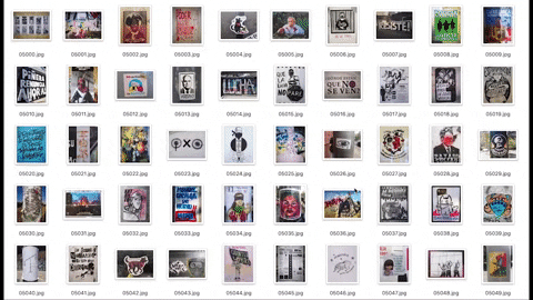 karihigh giphygifmaker GIF