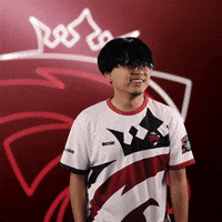 Flex We Will Win GIF by Austrian Force eSports