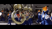 new orleans louisiana GIF
