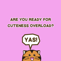 Cats Bunny GIF by PinfinityAR