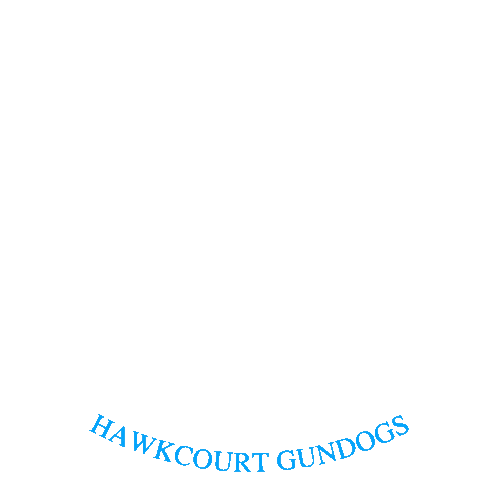 Clumber Sticker by Gundog App