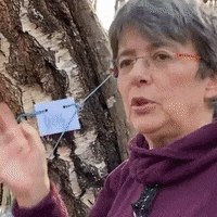 GIF by On The Wild Side