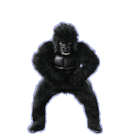 Angry Monkey Sticker by Yle Galaxi