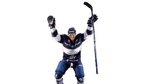 Hockey Celebrating Sticker by Les Ducs d'Angers