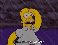 homer simpson GIF