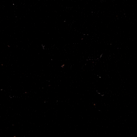 TheBeardStruggle tbs the beard struggle thebeardstruggle GIF