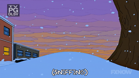 Episode 9 GIF by The Simpsons