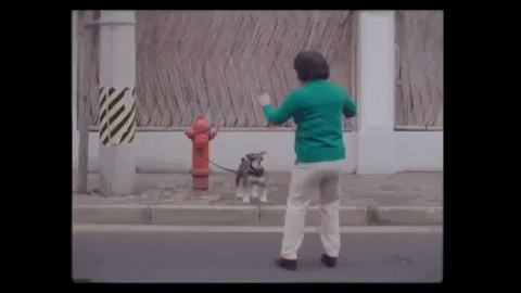 gifsforants giphydvr happy dancing party hard GIF