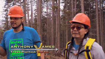 ctv amazingracecanada amazing race canada the amazing race canada GIF