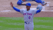 New York Mets Celebration GIF by SNY