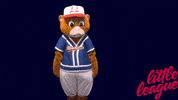 Sport Baseball GIF by Little League International