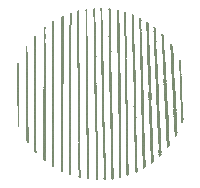 Vintage Color Sticker