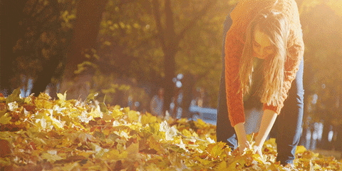 fall leaves GIF by AT&T
