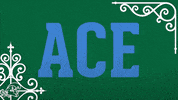 volleyball ace GIF by GreenWave