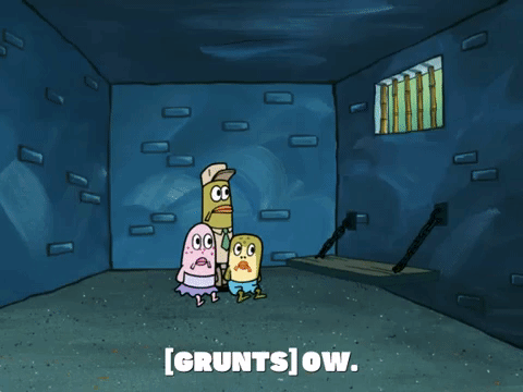 season 6 GIF by SpongeBob SquarePants
