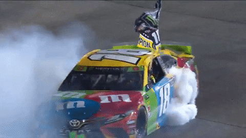 Happy Kyle Busch GIF by NASCAR