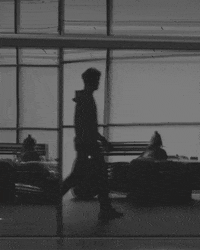 Racing Mclaren GIF by Lando Norris