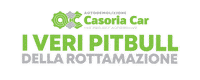 casoriacar wow car auto project Sticker