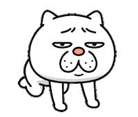 Sorry Cat Sticker