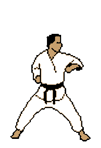 karate STICKER