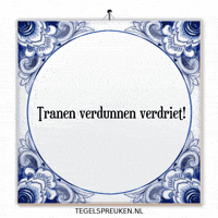 Nl Wijsheid GIF by Tegelspreuken.nl