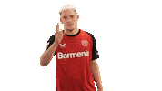 Bayer Leverkusen Sticker by Bundesliga