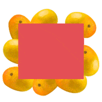 redrickshawfood mango redrickshaw redrickshawmangoes mangolikethis Sticker