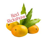 redrickshawfood mango redrickshaw redrickshawmangoes mangolikethis Sticker