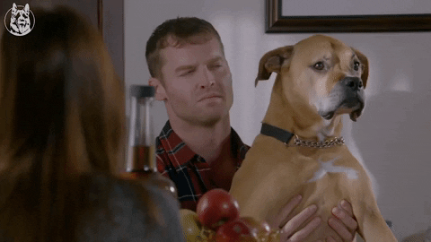 letterkenny GIF by CraveTV