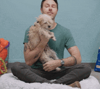 Dog Love GIF by cbsluckydog