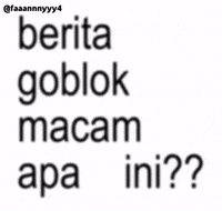 Apa Goblok GIF