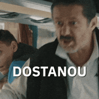 Hokej Lajna GIF by Seznam.cz